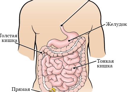 Борется с раком, способствует похудению: какие добавки к чаю делают его еще полезнее